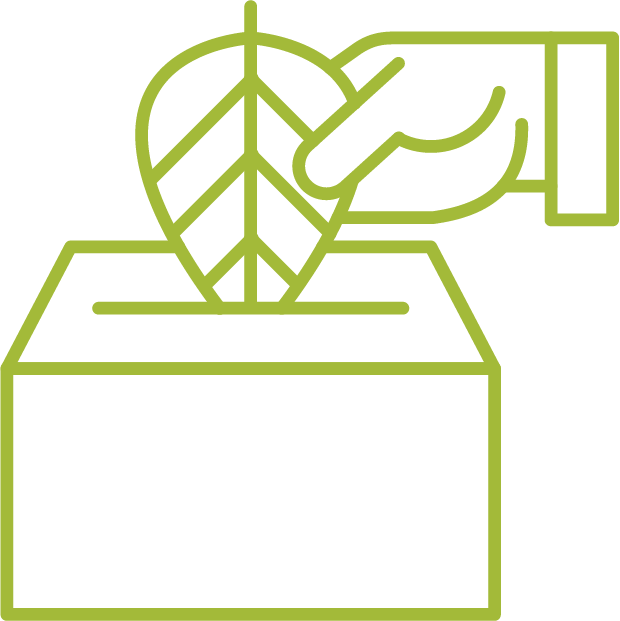 Green line drawing icon of a a ballot box with a hand coming in from right to center holding a leaf with multiple veins, submitting "vote" center.