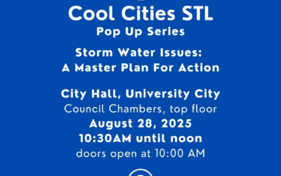 Cool Cities Pop Up – Storm Water Issues: A Master Plan For Action